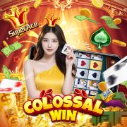 955bet