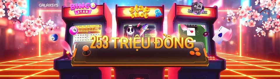 955bet